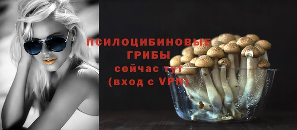 прущая мука Ладушкин