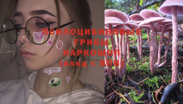 прущая мука Ладушкин