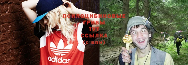 прущая мука Ладушкин