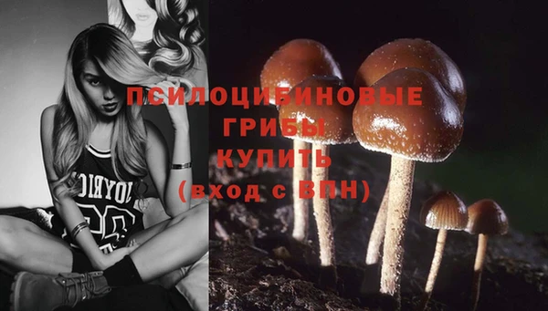молекула духа Балахна